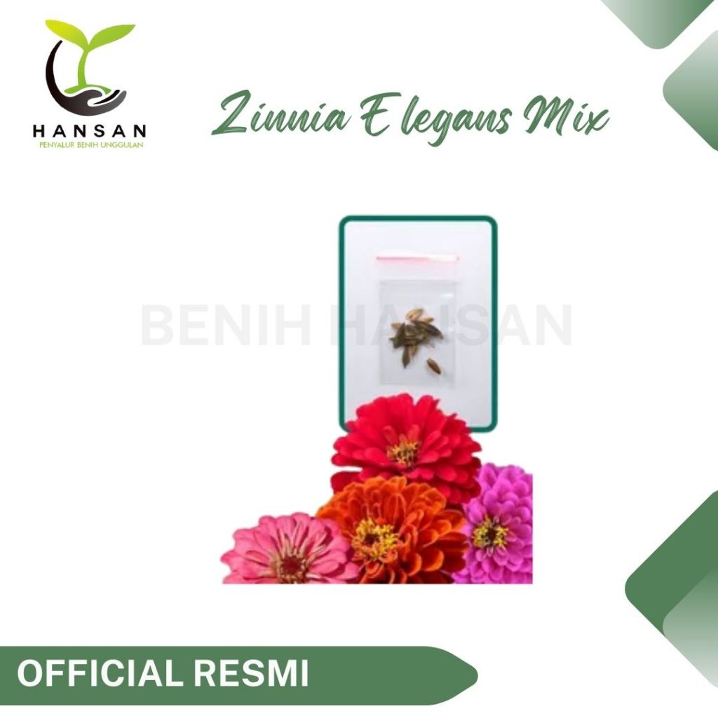 5 Benih Zinnia Elegans Mix Bibit Bunga Zinnia Liliput Tumpuk Mixed