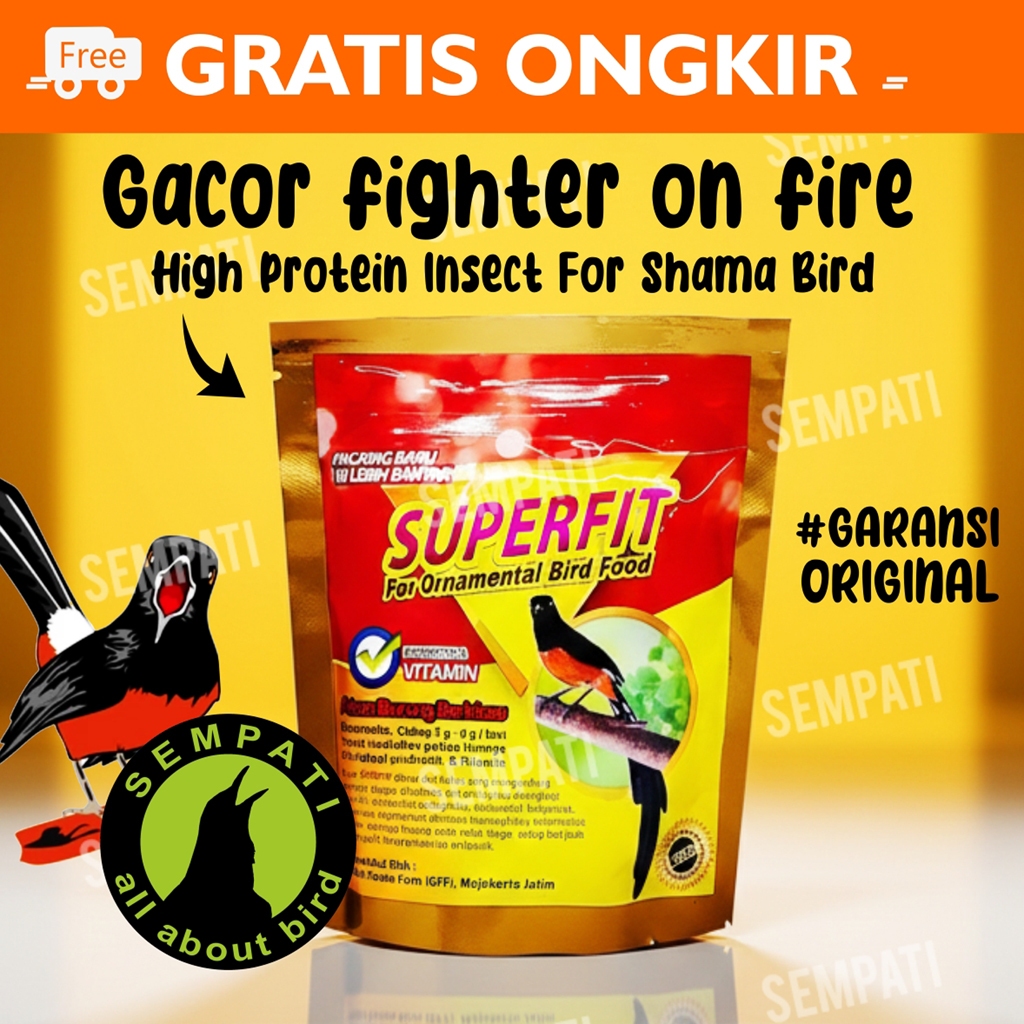 SEMPATI Superfit Super Fit Gold 100gr Original Voer Pur Pakan Burung Murai Kacer Kenari Anis Cililin