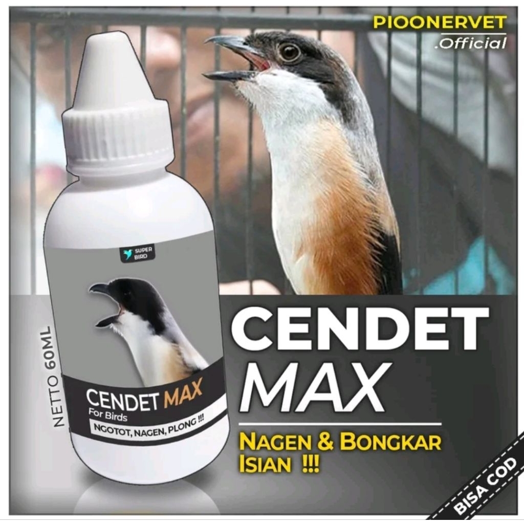Suplemen cendet max burung kicau