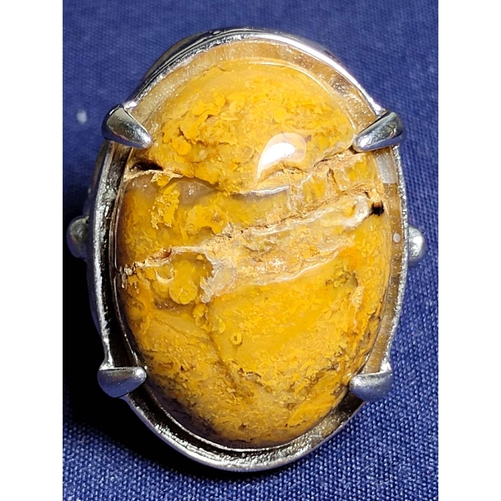 Natural Asem Petrified Wood, MYSTIC / Batu Fosil Kayu Asem, SAKRAL