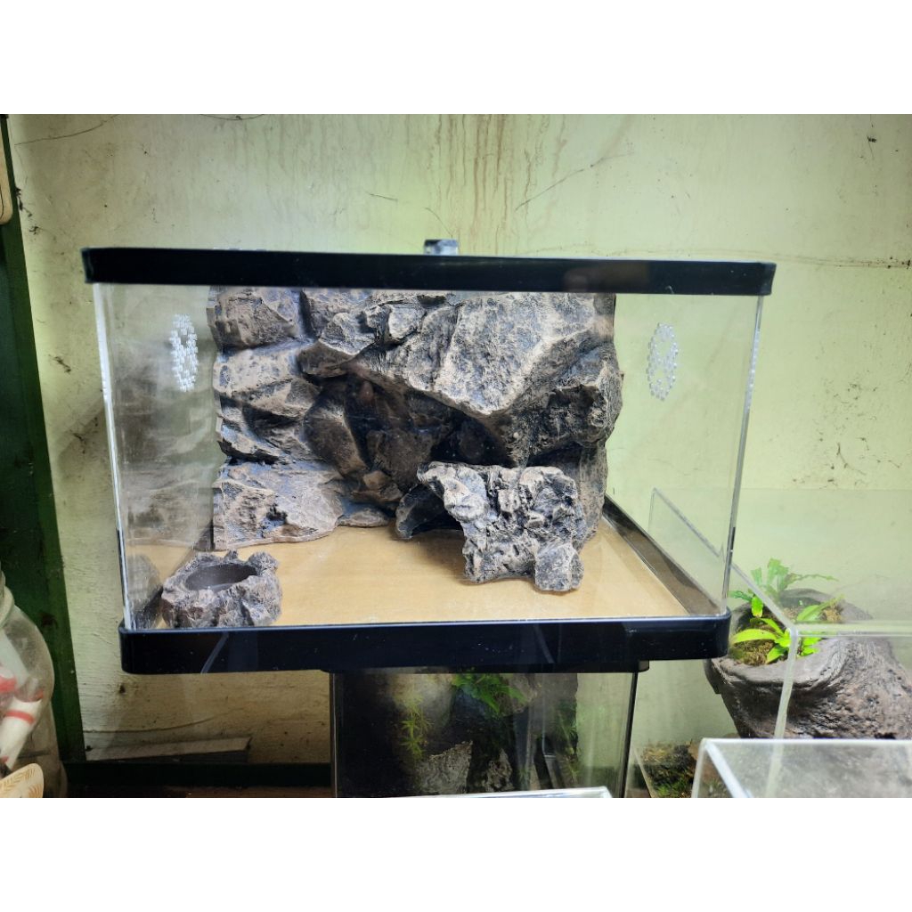 kandang acrylic / tarantula / reptil / terrarium