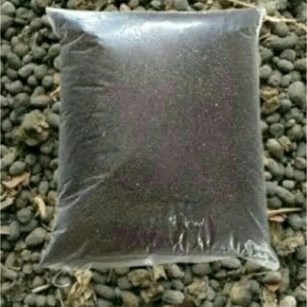 kohe ayam pupuk organik