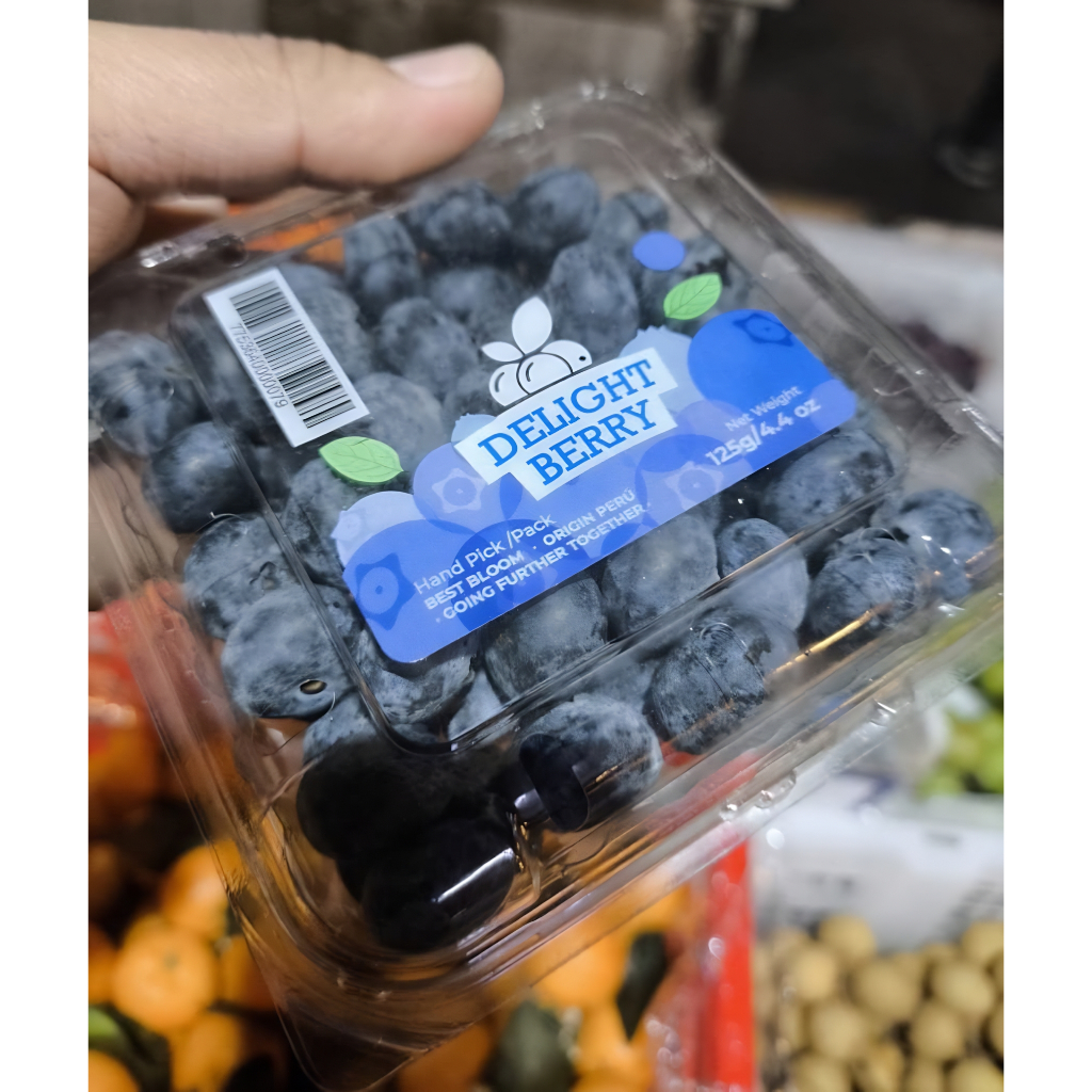 Blueberry Buah Segar Bandung