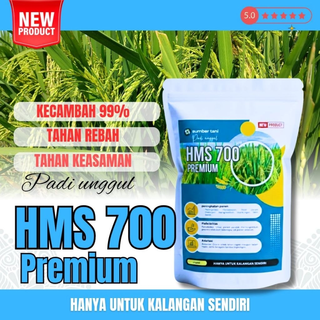 benih padi unggul hms 700 asli ( BIBIT PADI UNGGUL HMS 700 )