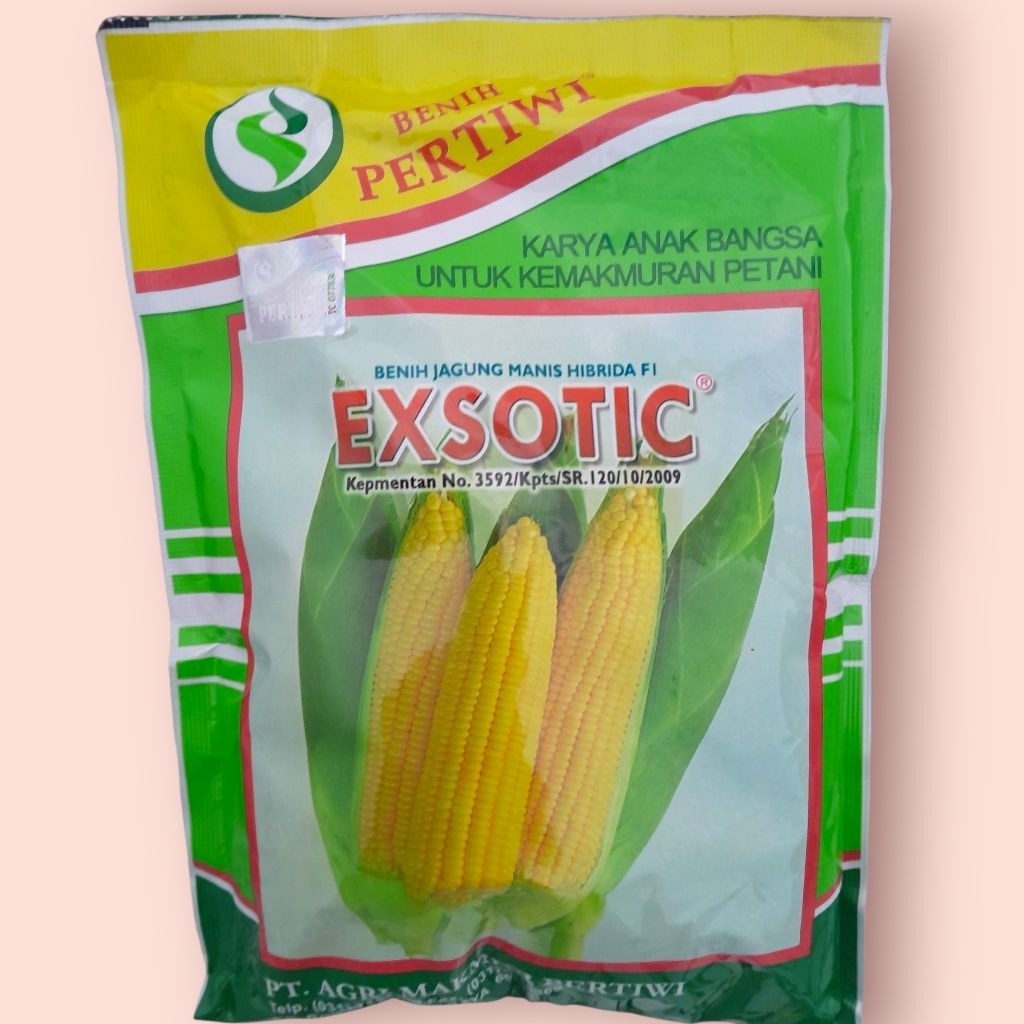 Benih Jagung Manis Exotic Isi 1750biji