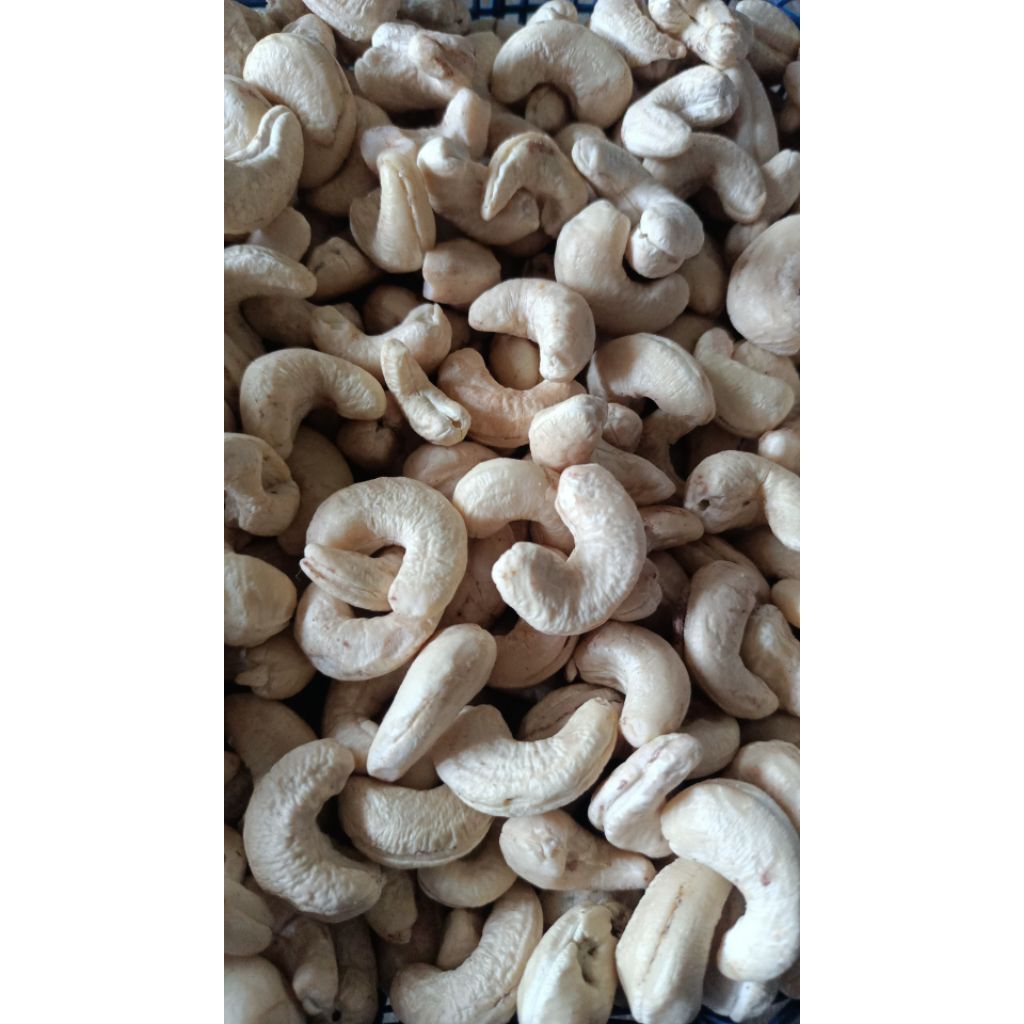 Kacang Mete Mentah Kering wonogiri