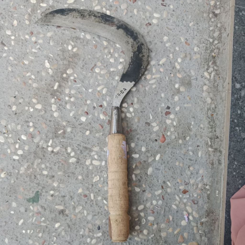 Sabit kecil, pangkas rumput, alat pembersih rumput