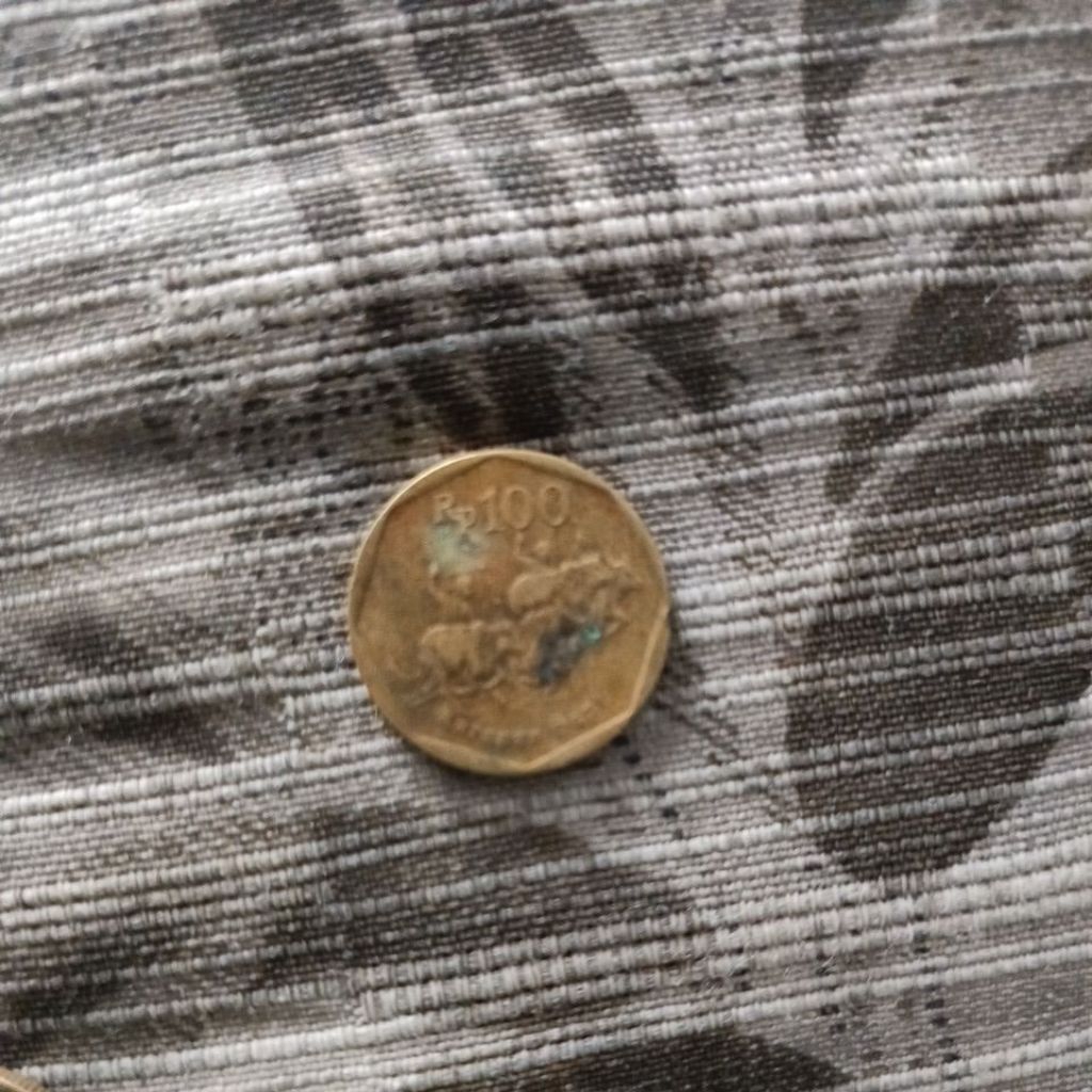 100 karapan sapi