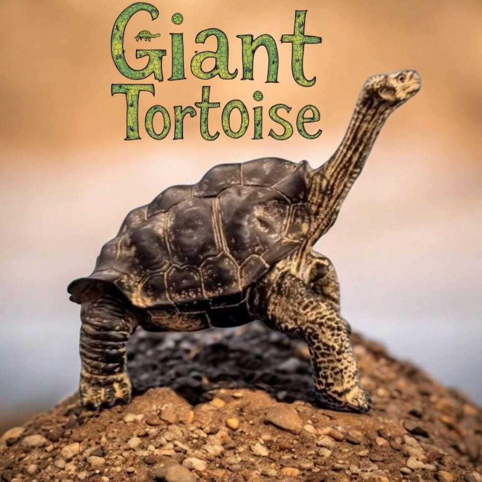 Patung mainan replika Kura-kura Darat raksasa giant tortoise resin Hiasan Mainan Souvenir kura kura 