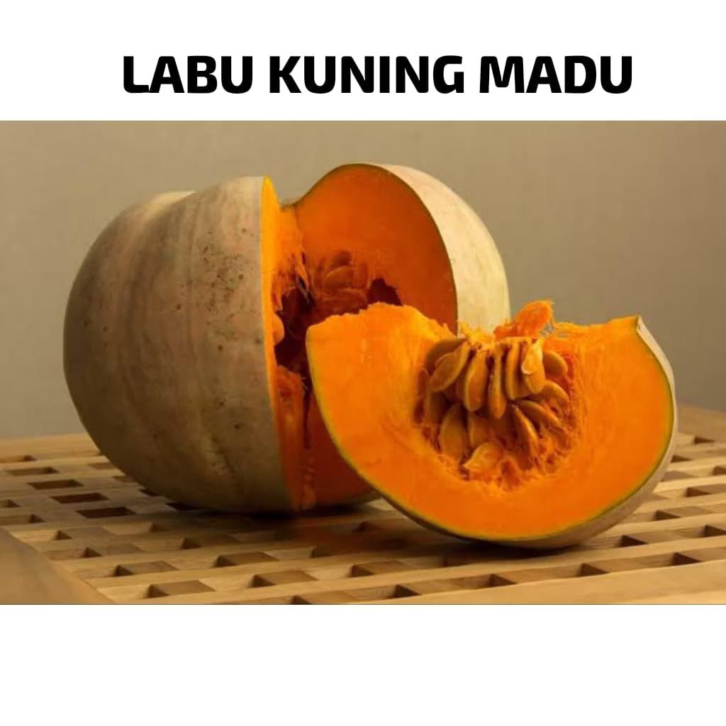 LABU KUNING MADU UTUH 2-3KG TUA