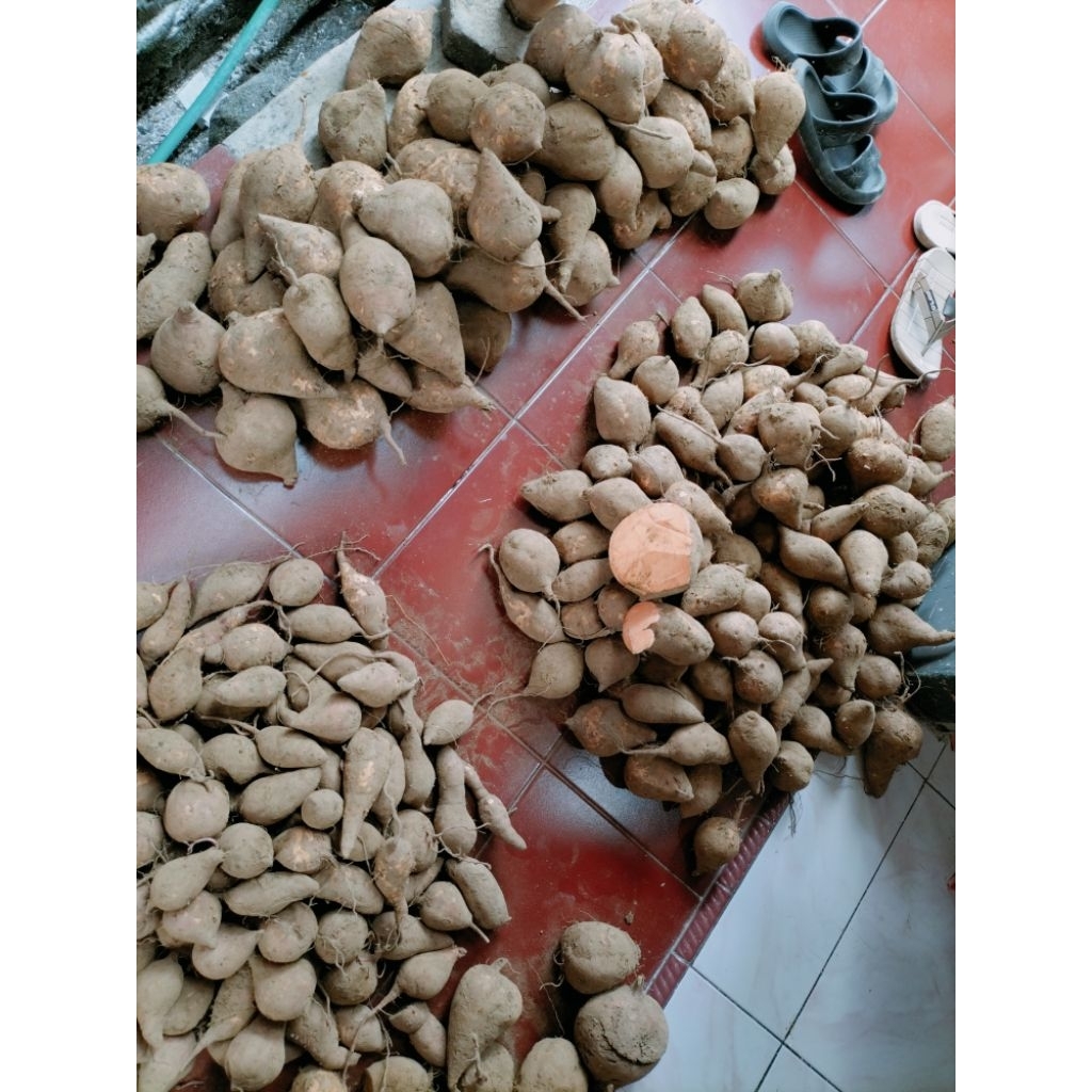 ubi orange, ubi kuning, ubi ungu manis