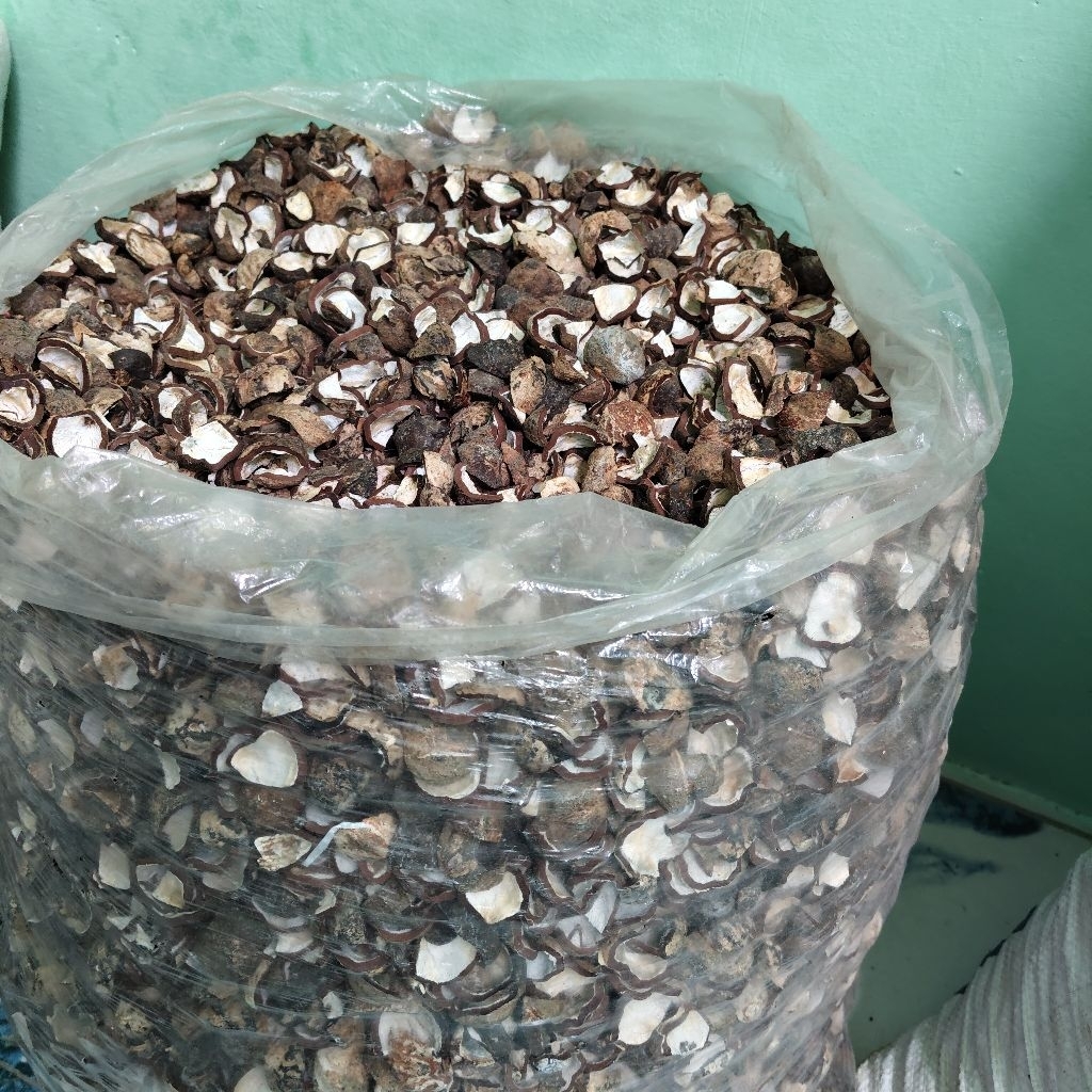 Cangkang Kemiri Kulit Kemiri Premium 1kg