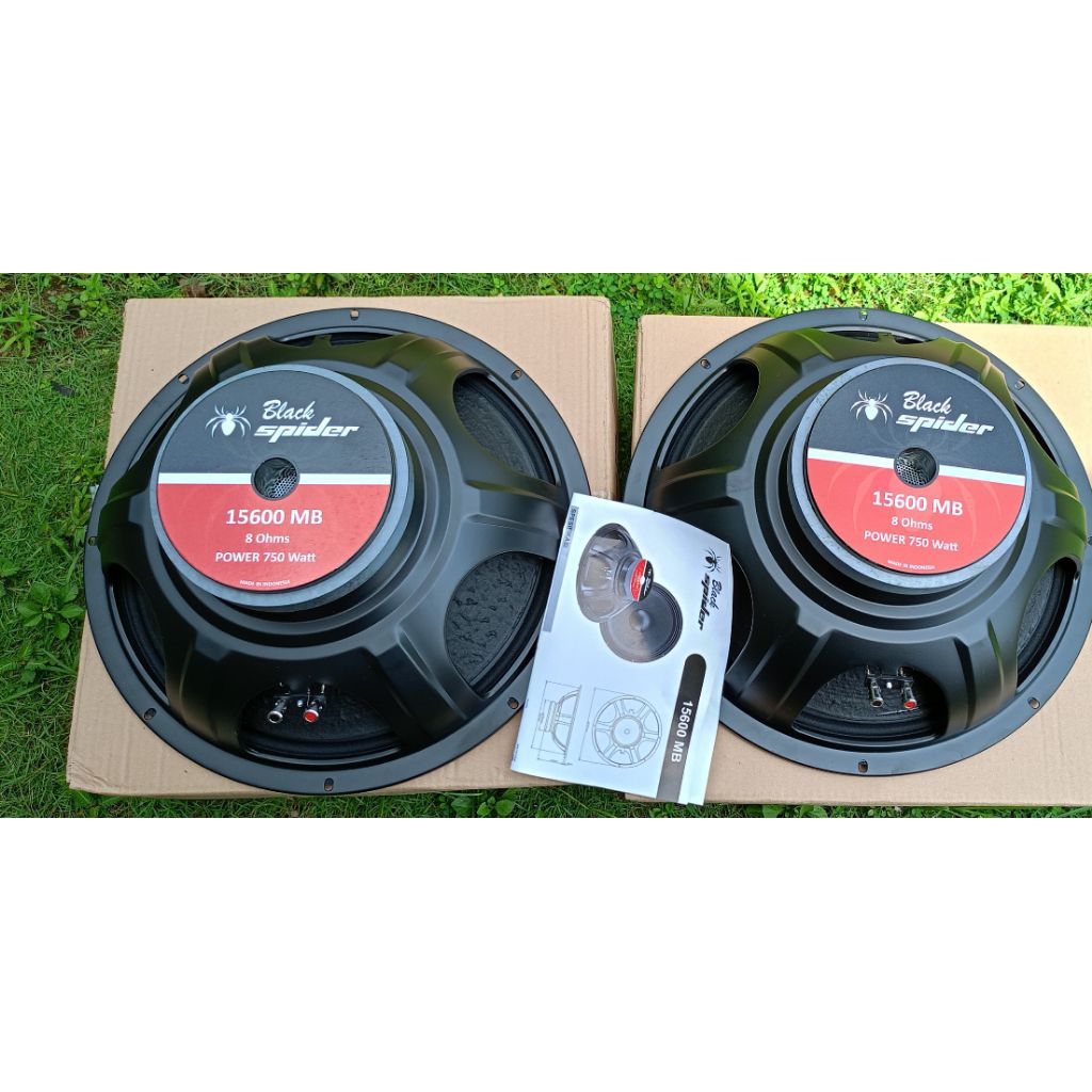 (PROMO) BLACK SPIDER 15600