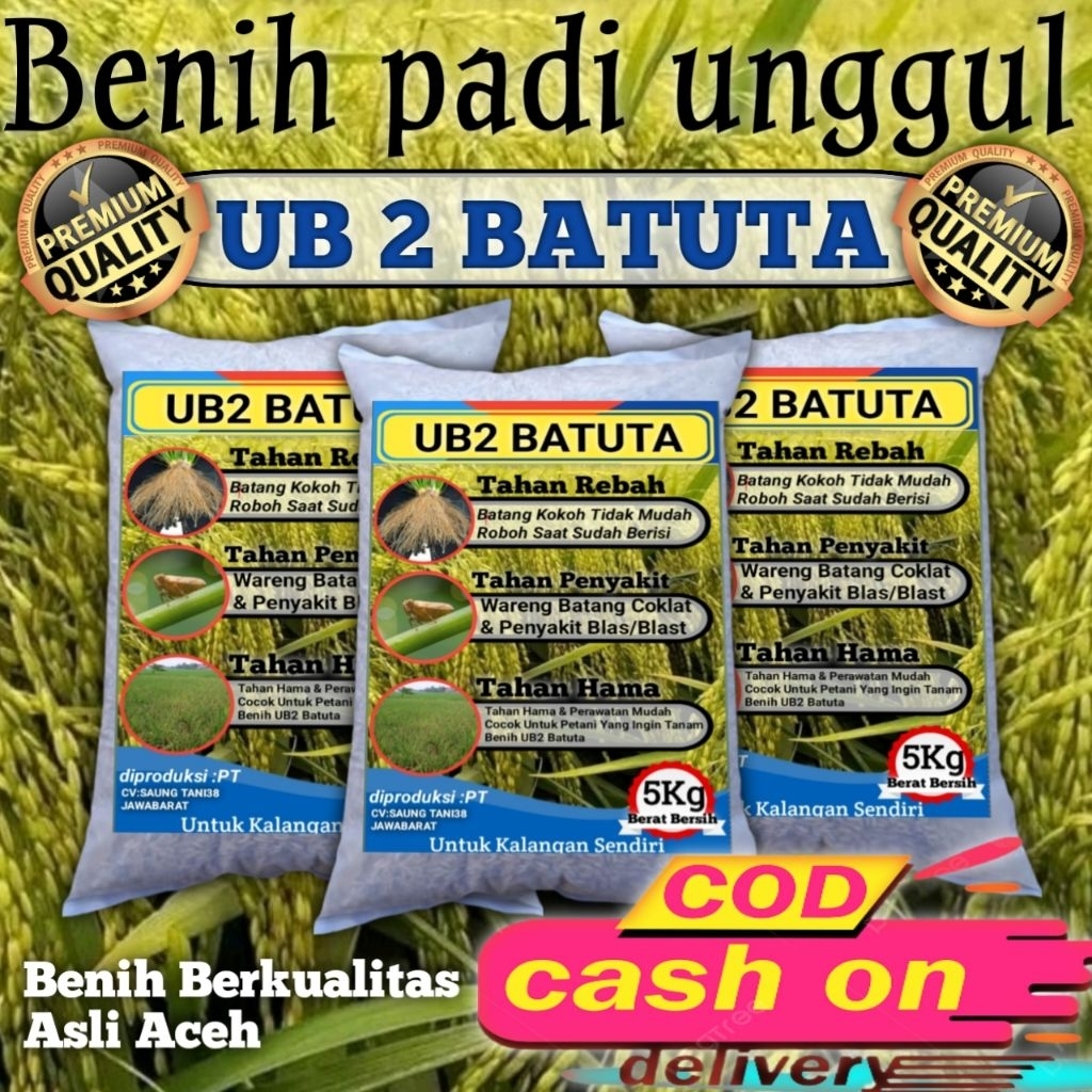 Benih Padi UB2 BATUTA ORI Kemasan 5kg Original Asli aceh