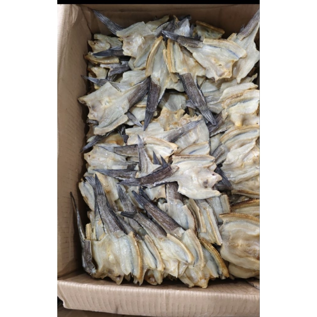Ikan Asin Gabus 1Kg 500GR 250GR