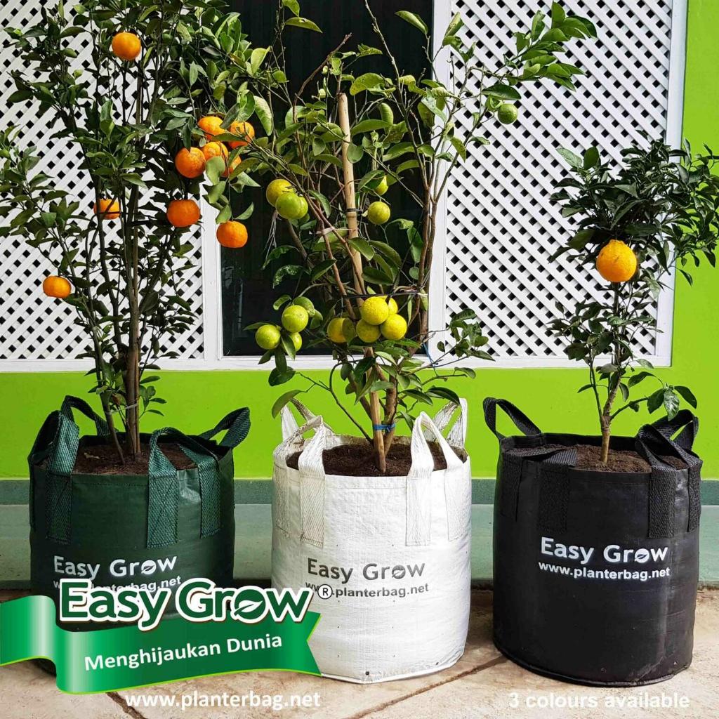 Planter Bag Easy Grow