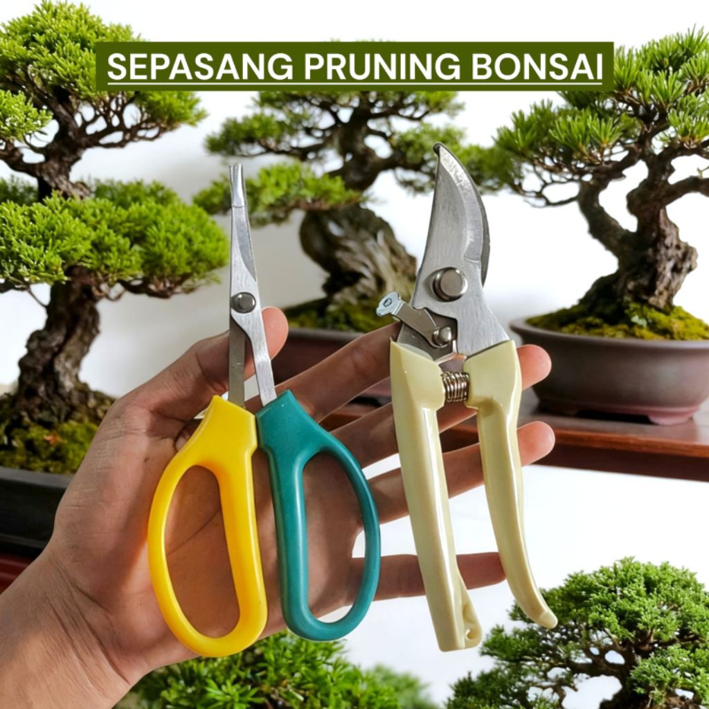 Paket 2Pcs Gunting Pruning Daun / Ranting Bonsai / Gunting Pohon Bonsai Gunting Perlengkapan Dahan P