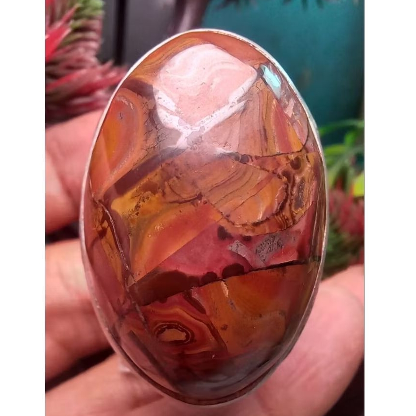 Sisik Naga Merah Enrekang