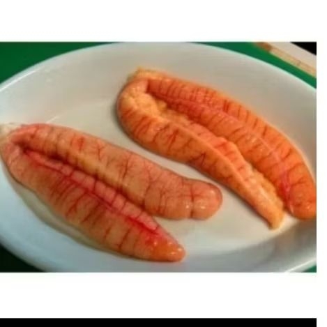 Telur ikan tuna fresh 1 kg