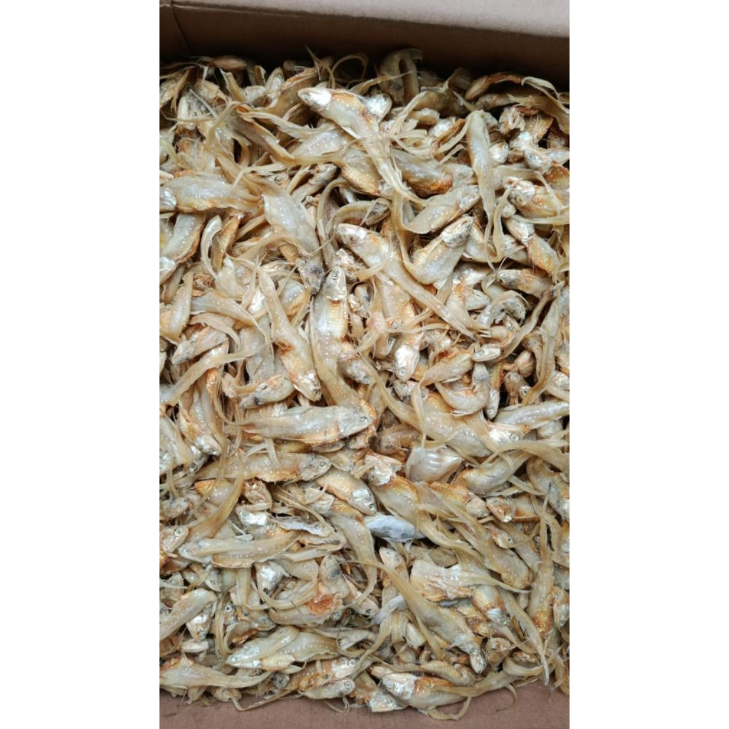 Ikan Asin Bulu Ayam Kering 100 Gram - Rasa Gurih, Mentah, Kering, Khas Pangandaran