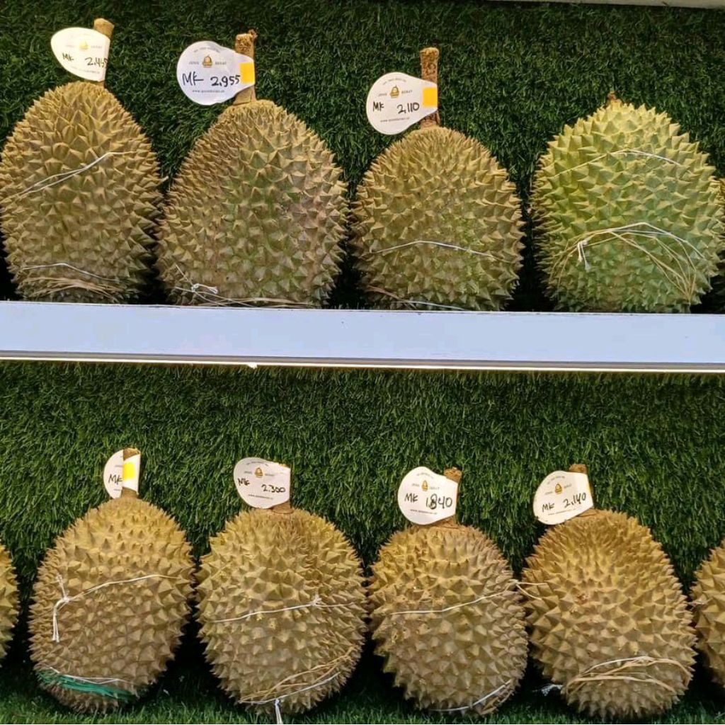 Buah durian musang king malaysia utuh super fresh premium -+2 kg