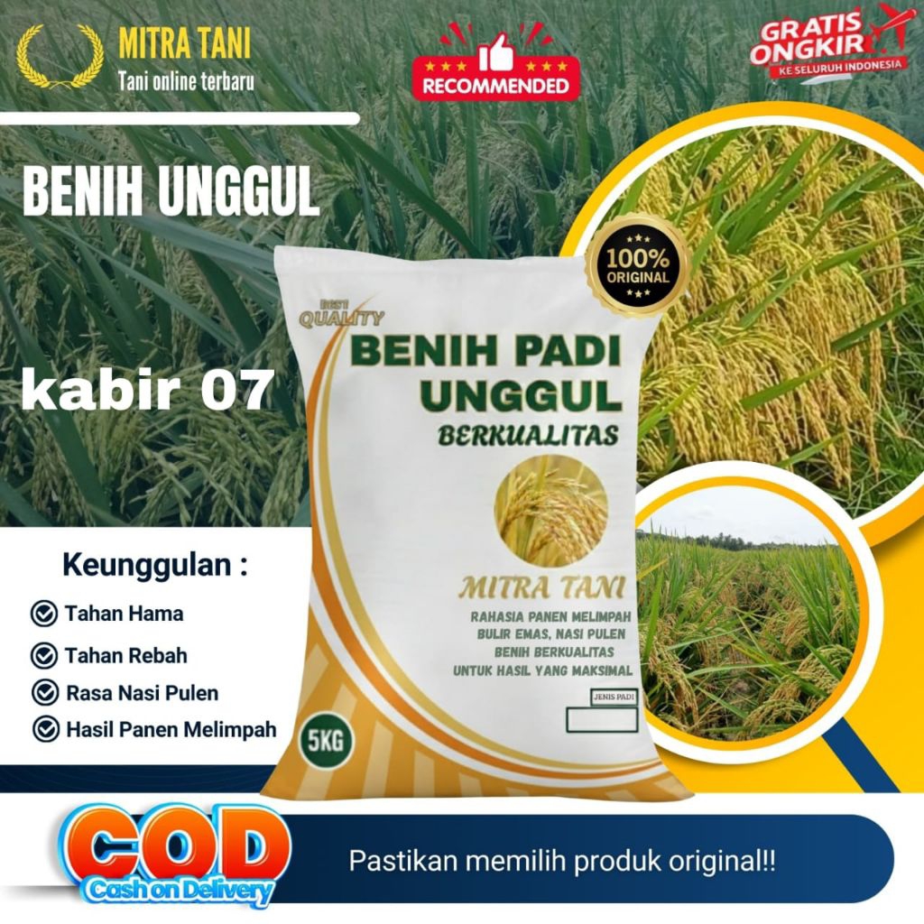 Bibit Padi KABIR 07,Kemasan 5-kg