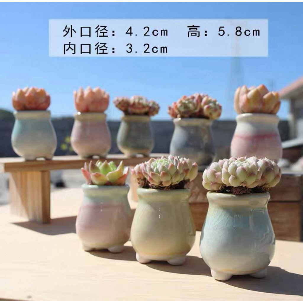 6 Pcs Pot Keramik Retak Es Model Guci Mini