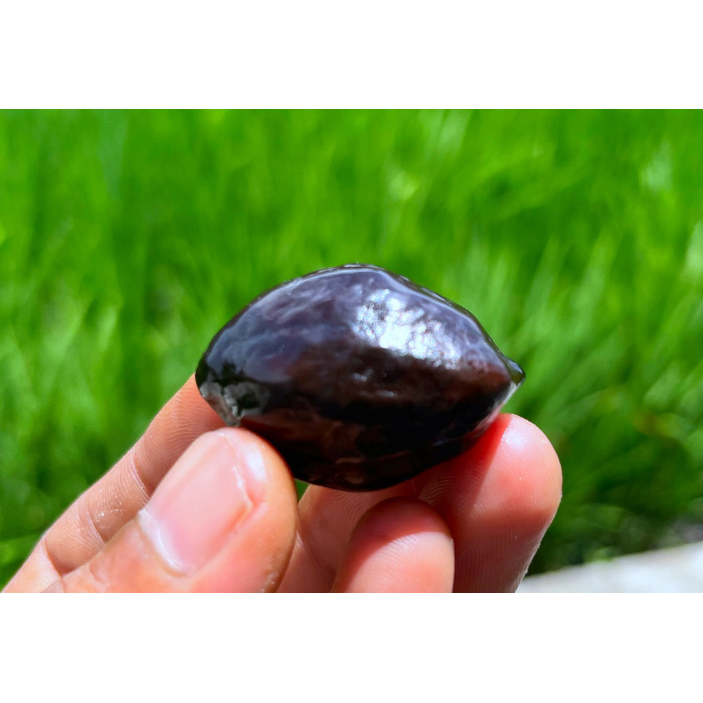 muncang kemiri adu panjangan si AMPER