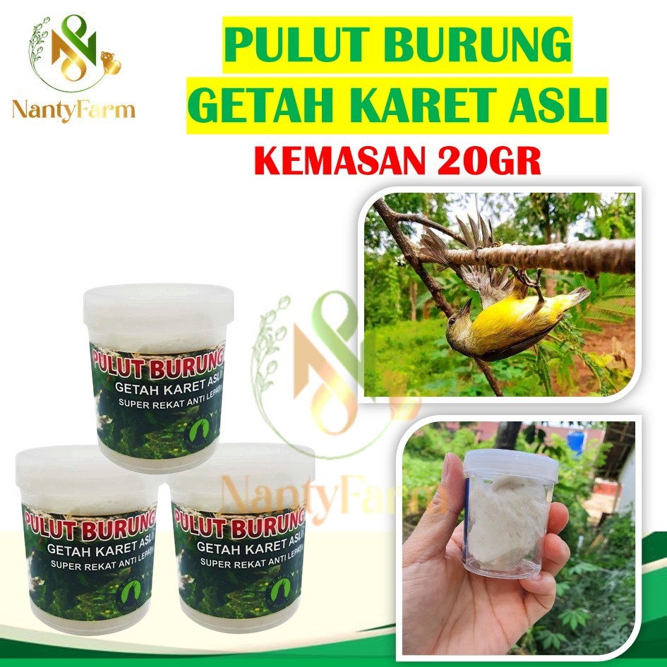 Pulut Burung 20cc Isi Getah Karet Asli Pulut Burung Viral Lem Super Lengket Lem Jebakan Burung Lem P
