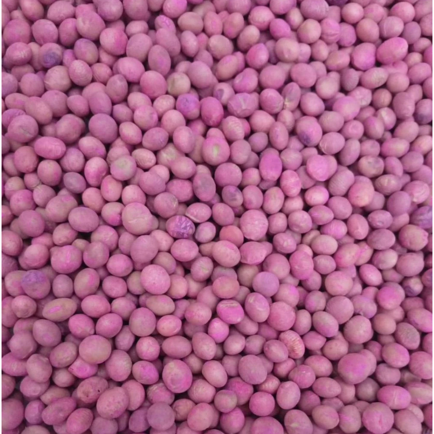 READY BENIH / BIJI KACANG EDAMAME JEPANG