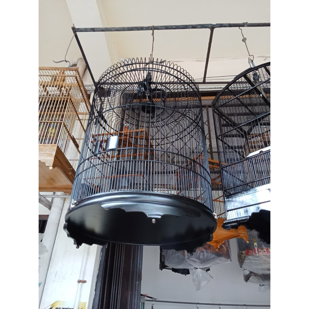 SANGKAR BURUNG MURAI TEBOK KAYU