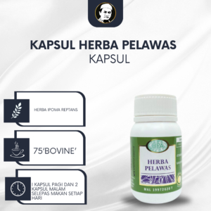 HERBA PELAWAS HPA MALAYSIA ISI 75 KAPSUL