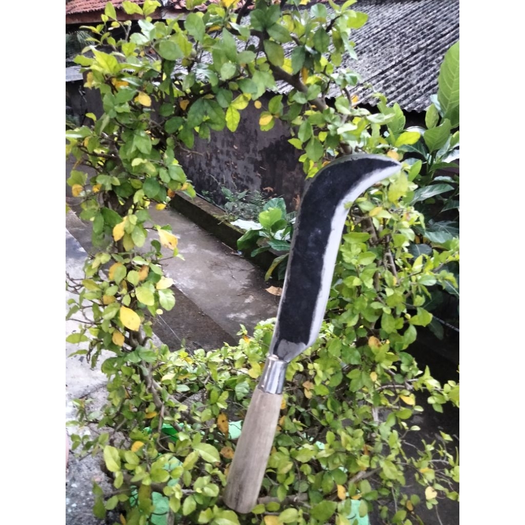 sabit kusus bambu dan ranting-ranting pohon