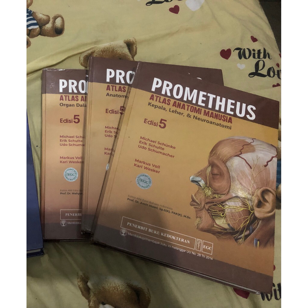 preloved prometheus anatomi