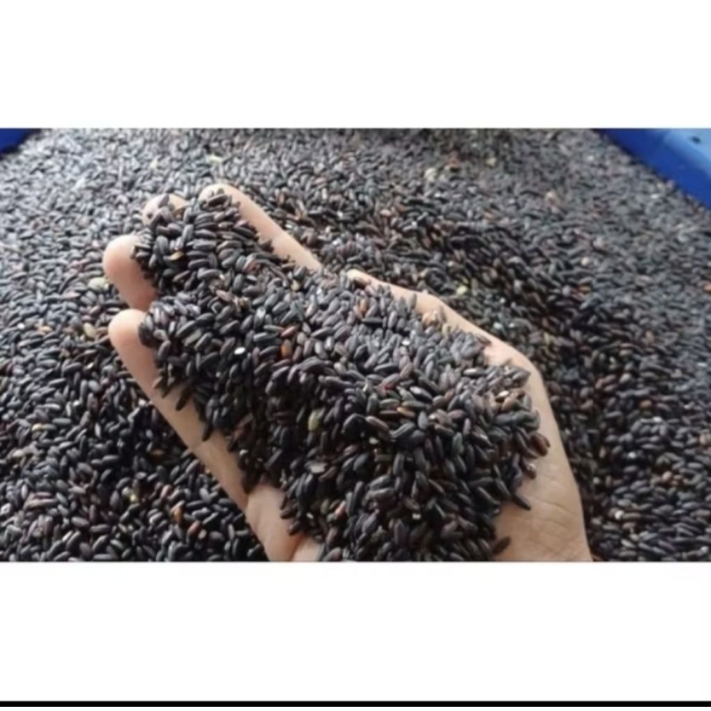 Beras ketan hitam/1kg