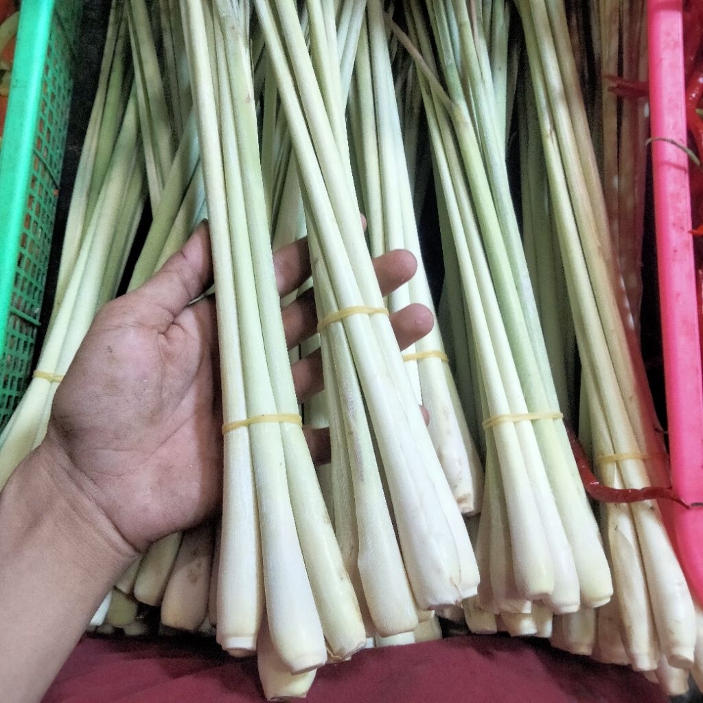 serih/sereh jumbo berat 1kg