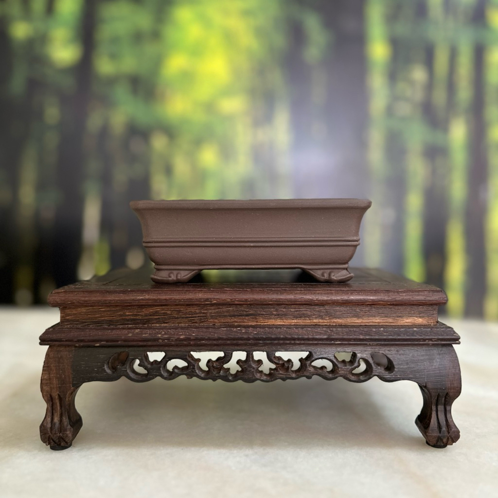 Yixing Zisha Bonsai/Succulent Pot Shohin