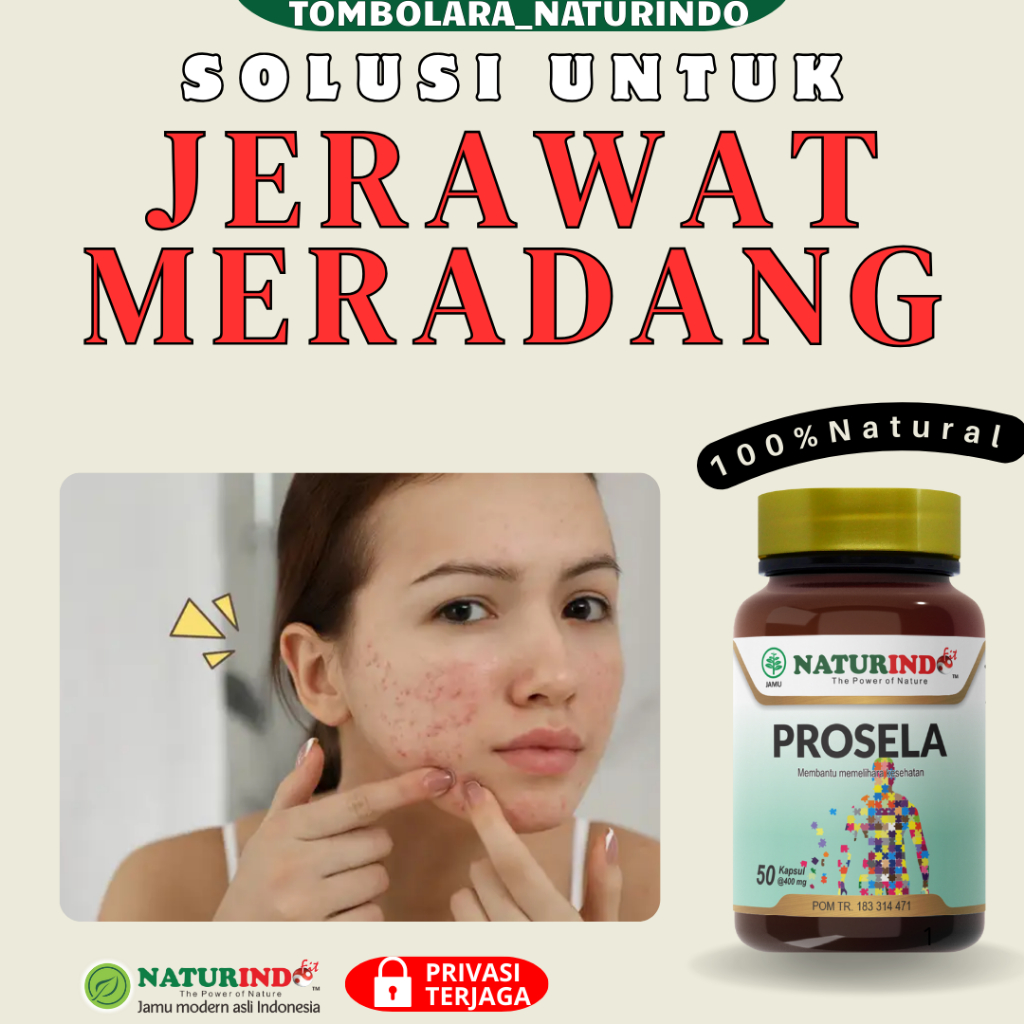 Obat Herbal Jerawat Meradang Bopeng Parah Flek Hitam Prosela Herbal Naturindo