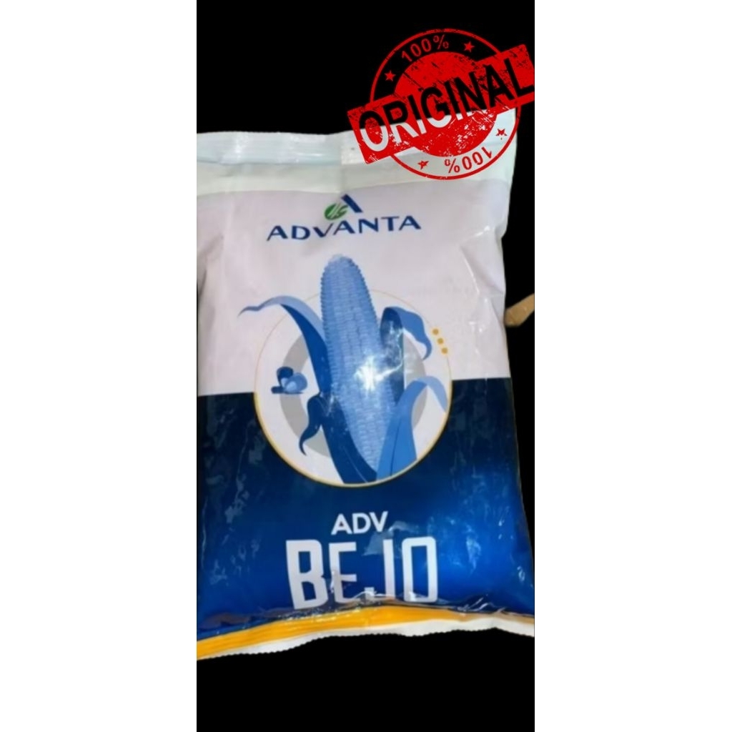 Benih Jagung Hibrida ADV BEJO - 1Kilogram