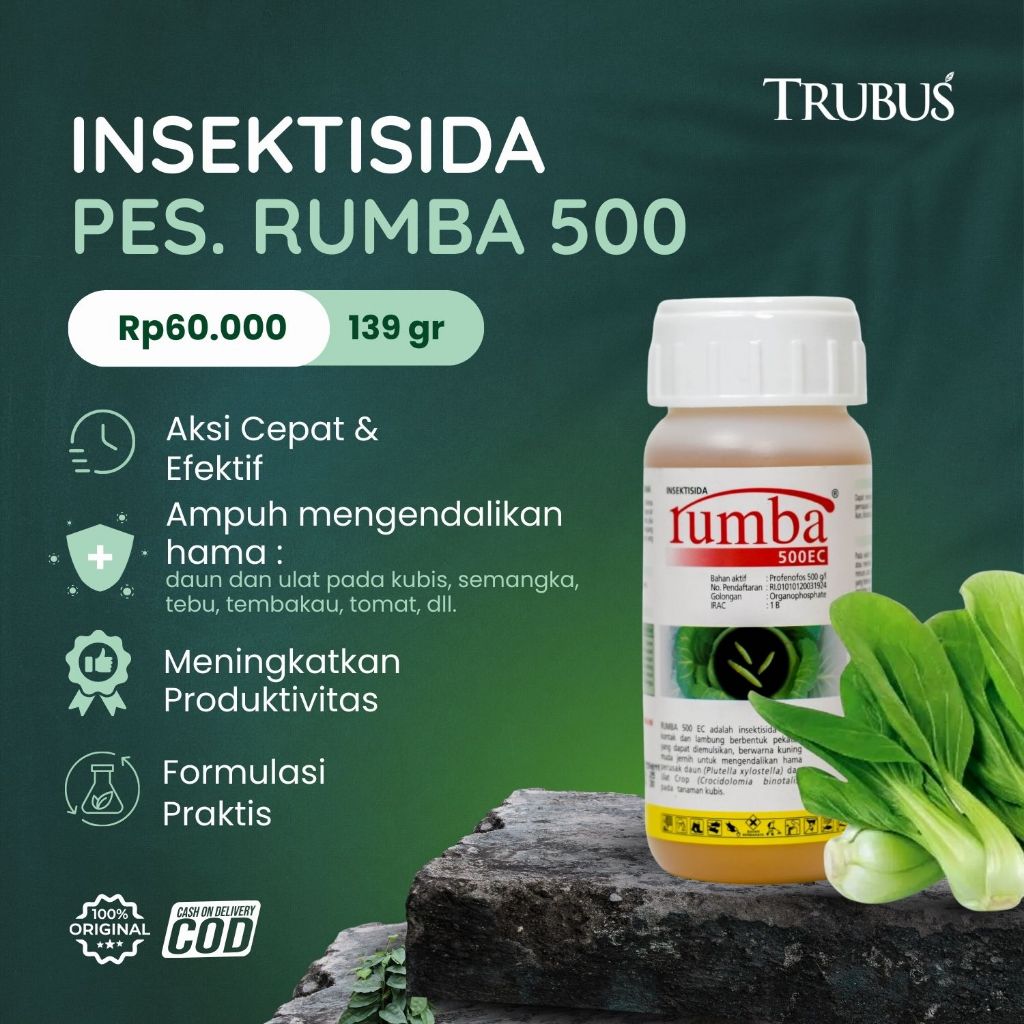INSEKTISIDA RUMBA UNTUK TANAMAN KUBIS - TRUBUS GREEN
