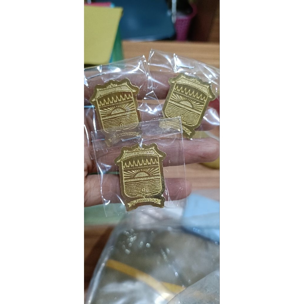 Pin Pemkot Palembang Emas