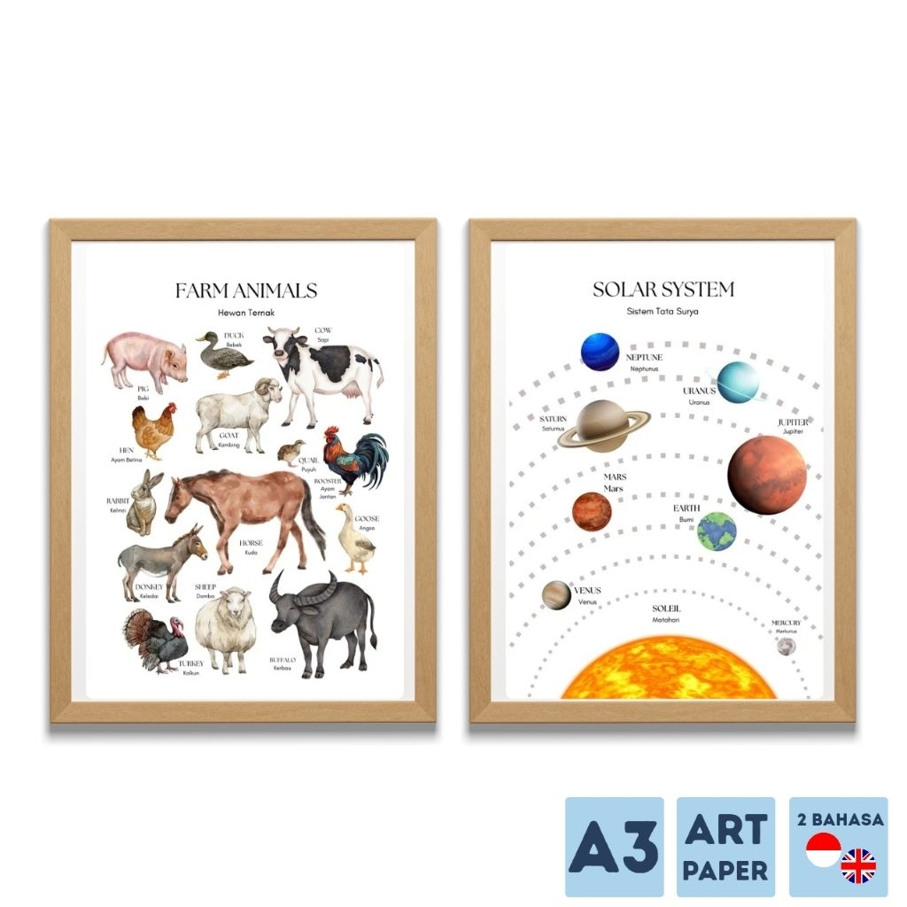 Poster edukasi Aesthetic | poster Huruf angka Hewan Buah sayur