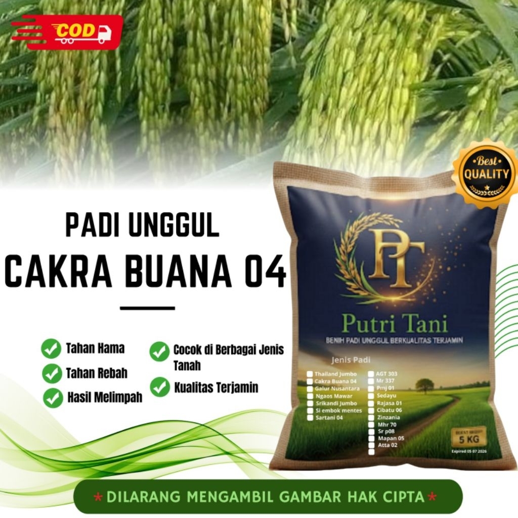 BIBIT PADI CAKRABUANA 04 KEMASAN 5KG