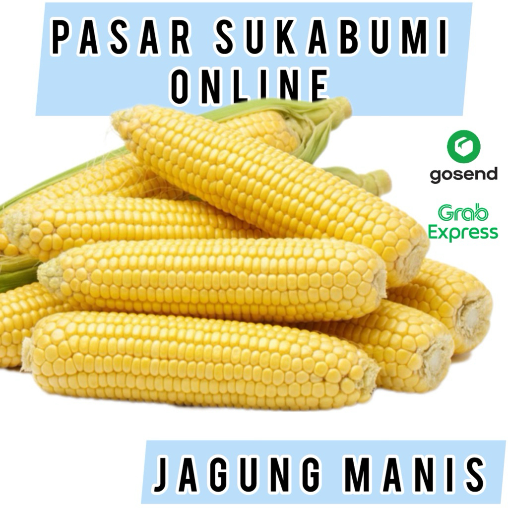 Jagung Manis Pipil/Batang Segar - Cocok untuk Bakar, Rebus, dan Sup