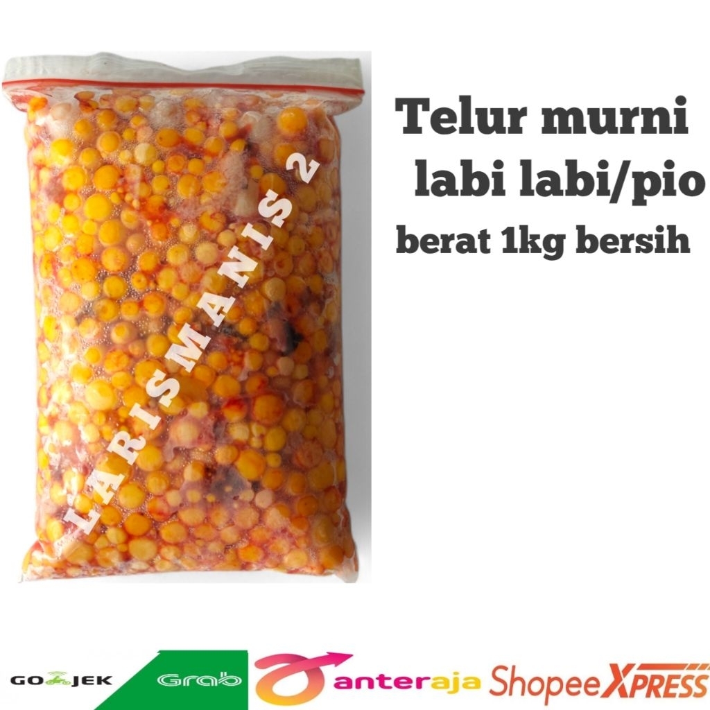 telur bulus/pio/labi labi