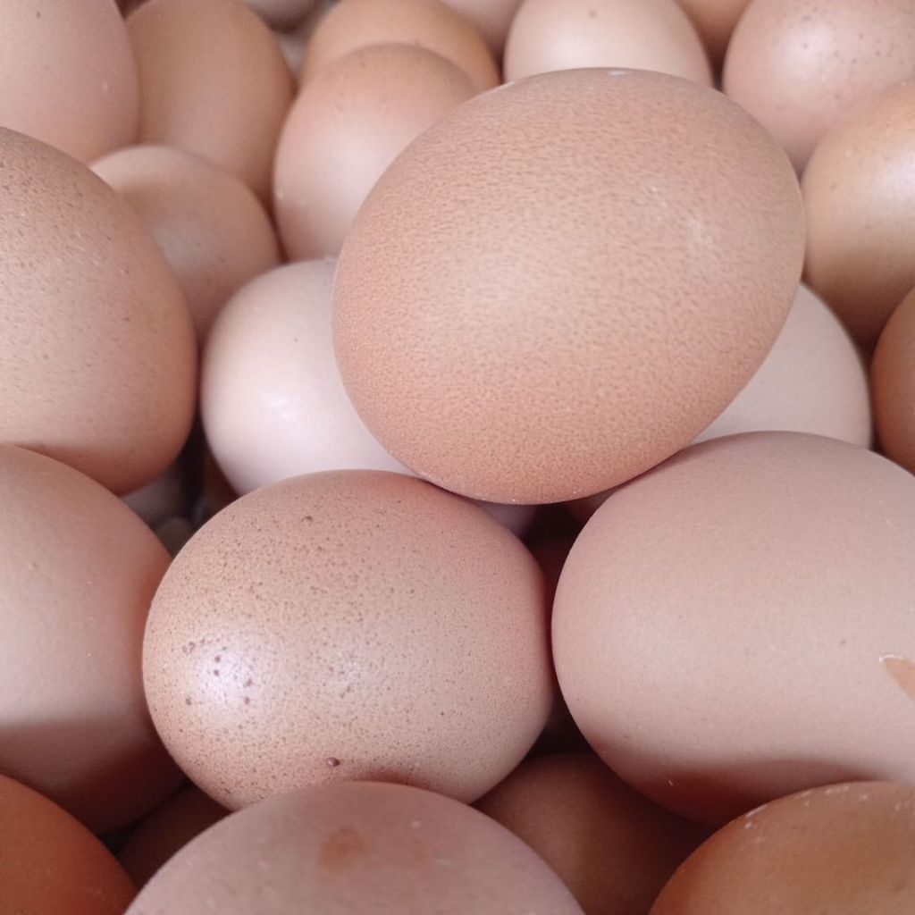 TELUR TELOR AYAM NEGERI SEGAR NEGRI CURAH PER 1 KG