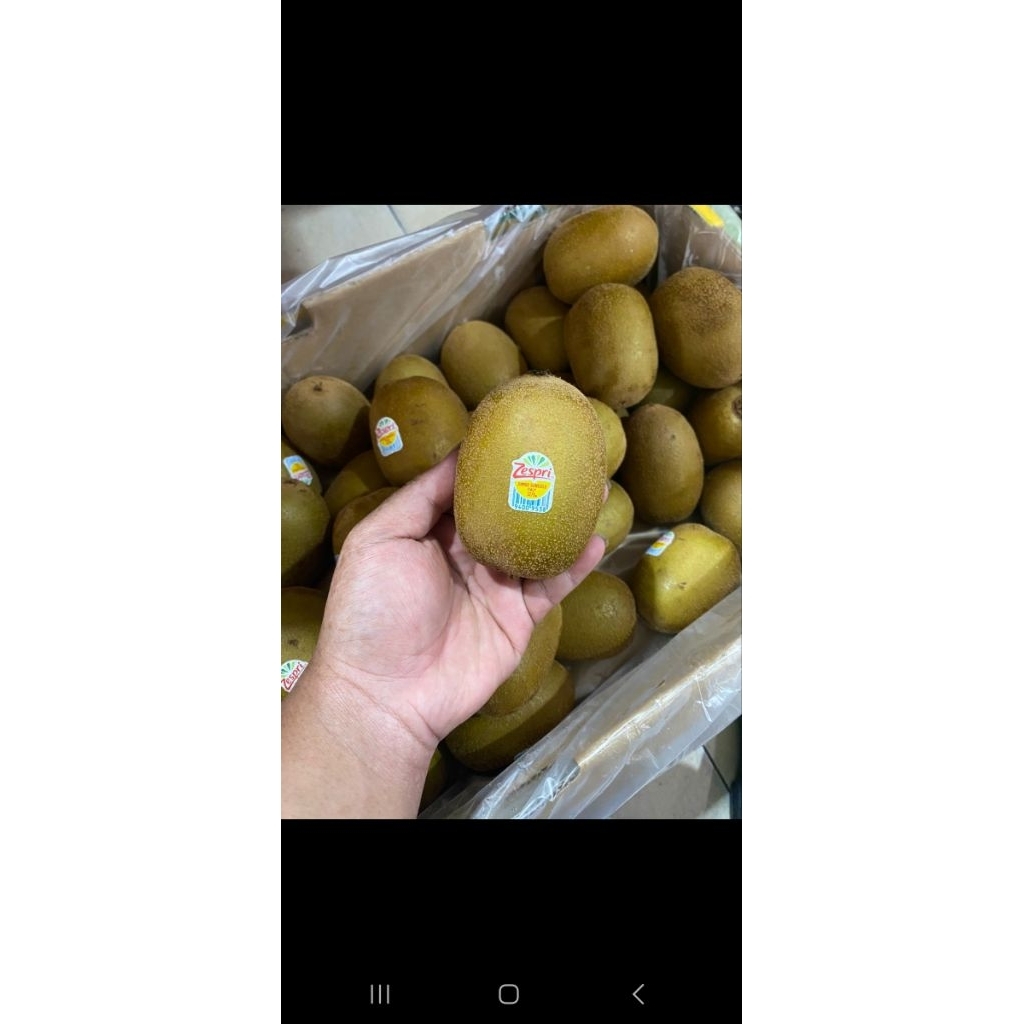 KIWI GOLD. KIWI ZESPRI. SUNGOLD. MANIS. BUAH KIWI.