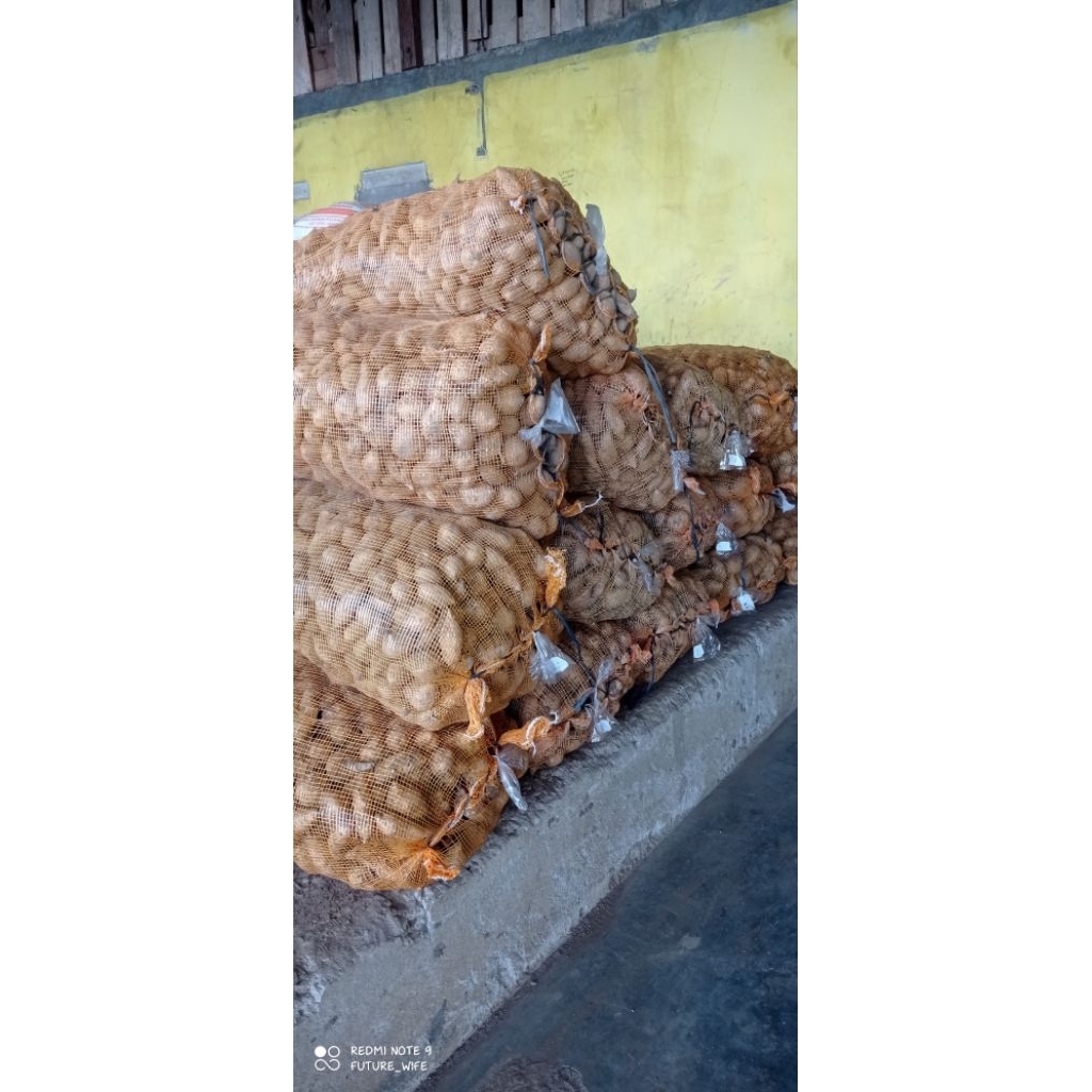 beras,muntul hasil bumi