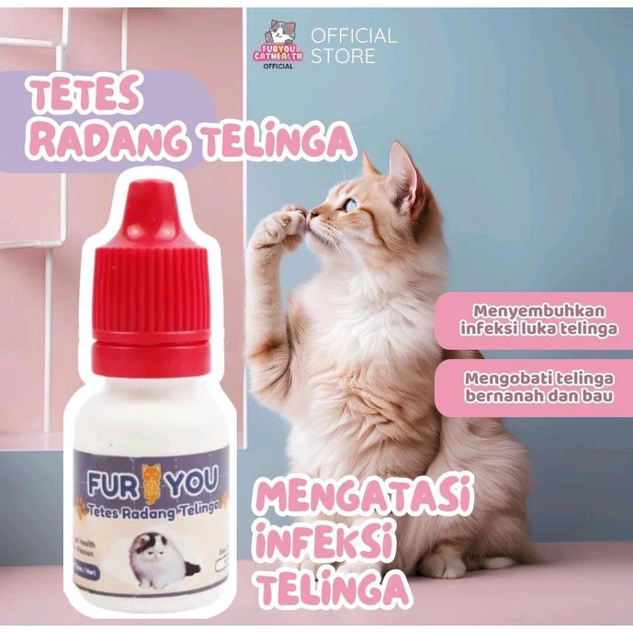 Promo Obat radang telinga kucing radang kutu telinga infeksi telinga muncul cairan pd telinga kucing