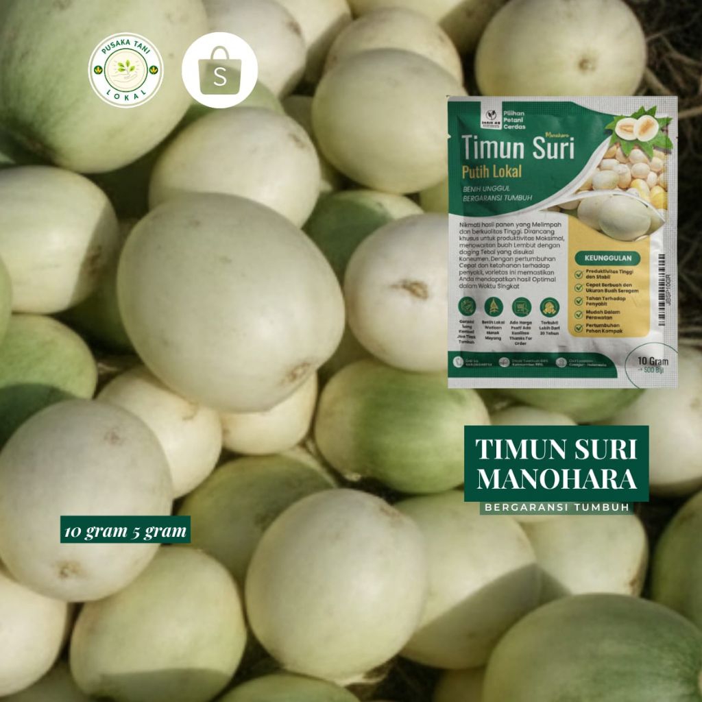 timun suri putih manohara